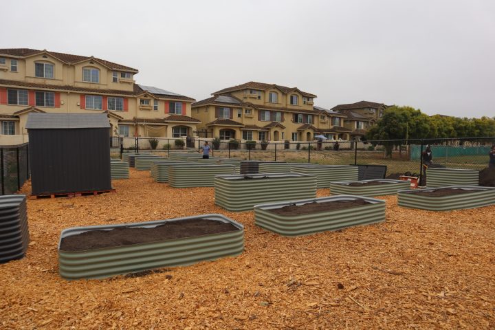 Franich Park